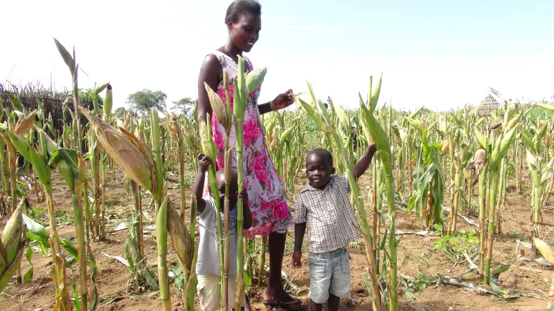 Agrifood production exposed to drought conditions