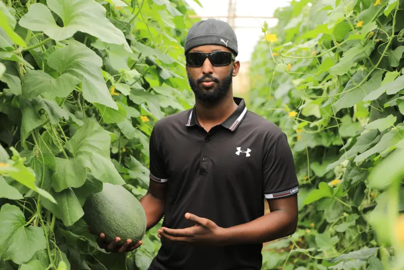 African farmer holding produce inside a greenhouse